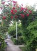 20160522_073112