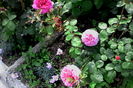 IMG_20160522_105830