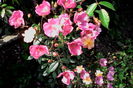 IMG_20160522_105706