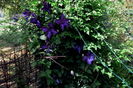 IMG_20160522_105445