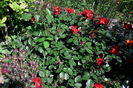 IMG_20160522_105105