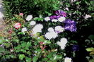 IMG_20160522_105028