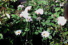 IMG_20160522_105022
