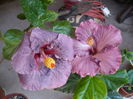 P1260898