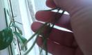 20160522_134614