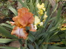 DSCN1738