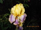 DSCN2009
