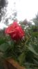 20160521_101146