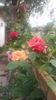 20160521_101156