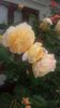 20160521_101543