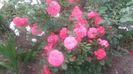 20160521_101621