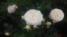 20160521_101747