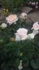 20160521_102133