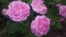 20160521_102205