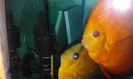 20160514_192529