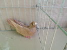 SAM_1710