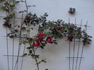 DSC01061