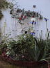 DSC01065