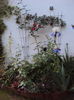 DSC01066
