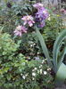 DSC01100