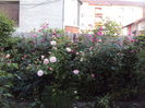 DSC01105
