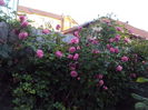 DSC01108