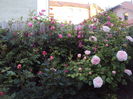 DSC01110