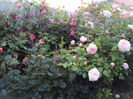 DSC01112