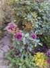 DSC01121