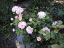 DSC01162