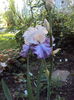 DSC01186