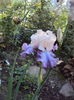DSC01187