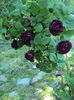 DSC01198