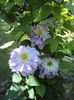 DSC01230