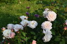 Gruss an Aachen