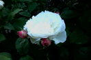 IMG_20160522_202526
