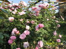 SAM_9459