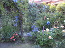 DSC01313