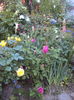 DSC01385