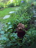 DSC01156