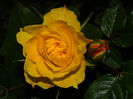 DSCN8048
