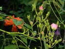 DSCN8066