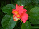 DSCN8157