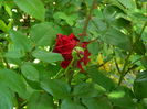 DSCN8163