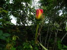 DSCN8256