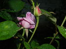 DSCN8603