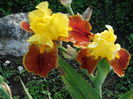 DSC06905