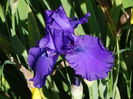 DSC07008