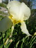 DSC09202