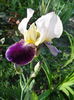 DSC09120